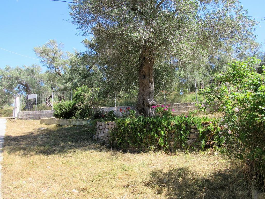 גאיוס Villa Clementine מראה חיצוני תמונה