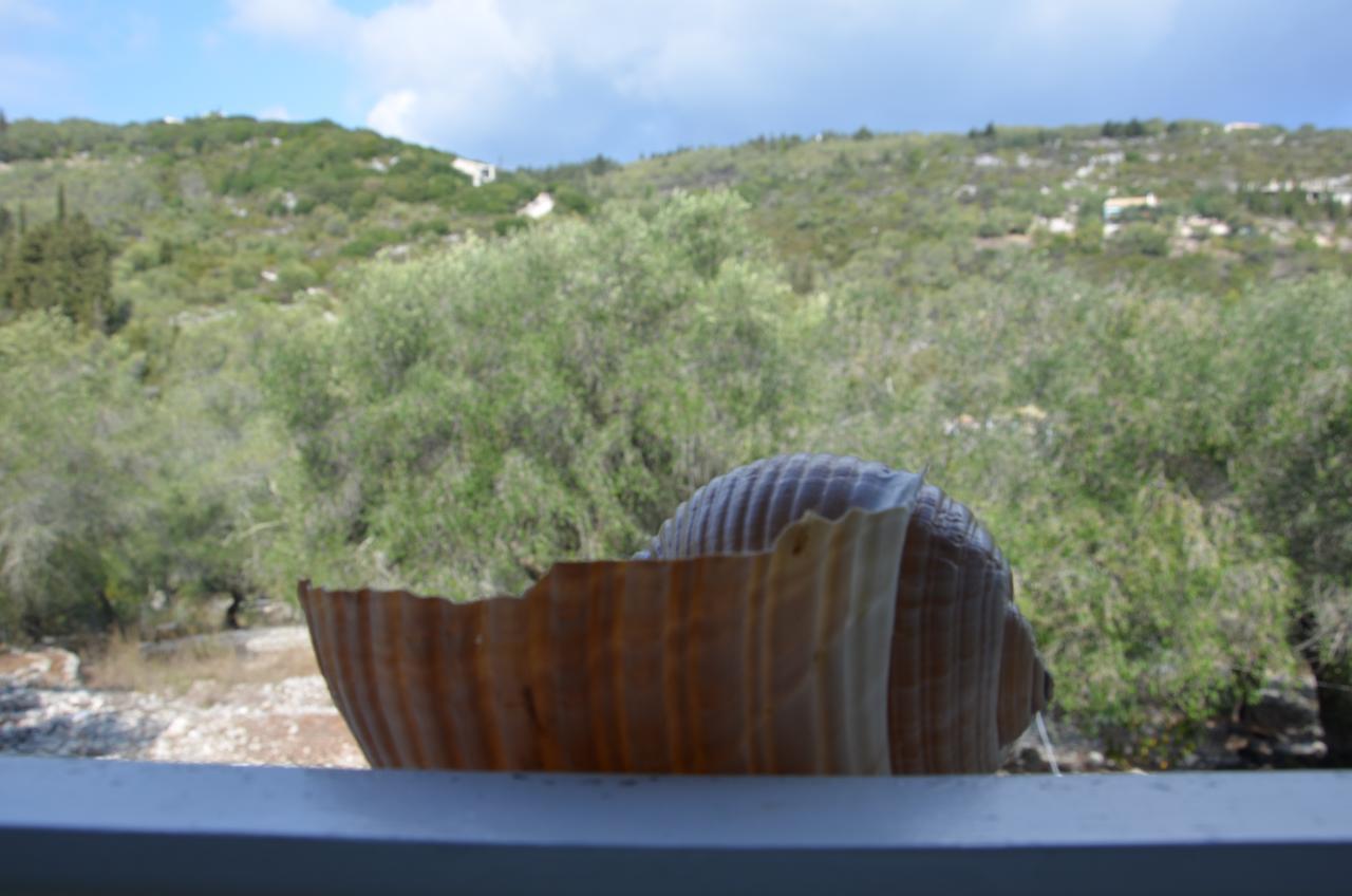 גאיוס Villa Clementine מראה חיצוני תמונה